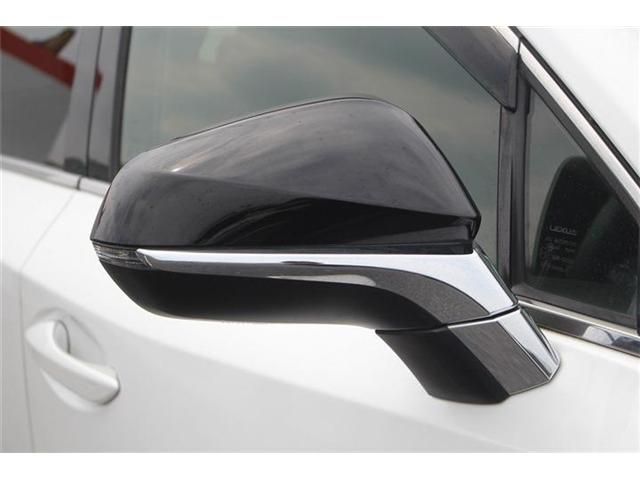 LEXUS NX300h