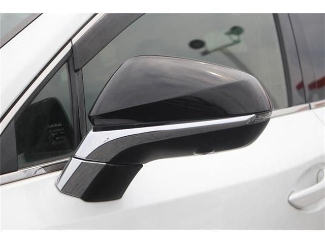 LEXUS NX300h