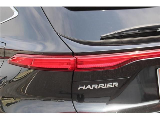HARRIER HYBRID