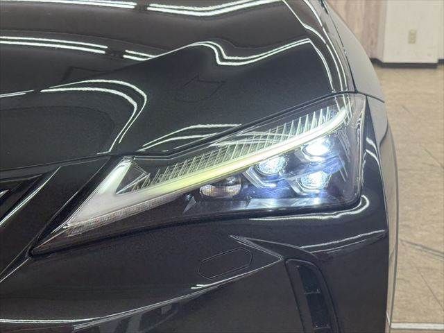 LEXUS UX250h