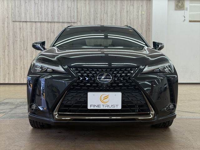 LEXUS UX250h