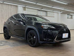 LEXUS UX250h