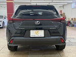 LEXUS UX250h