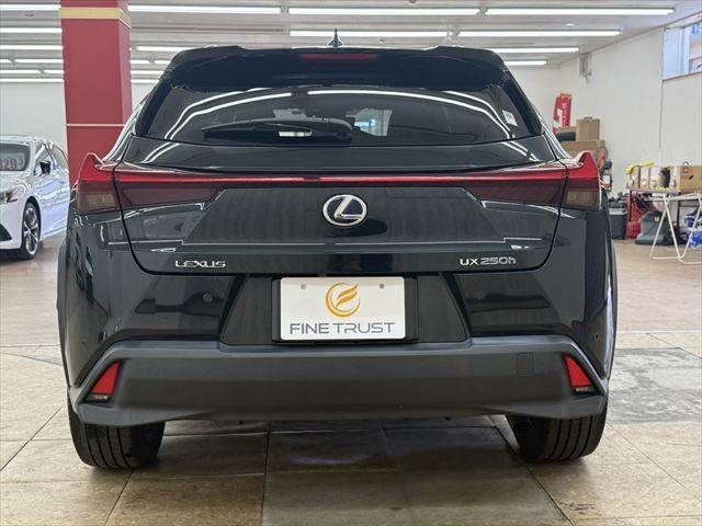 LEXUS UX250h