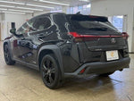 LEXUS UX250h