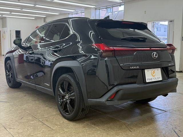 LEXUS UX250h
