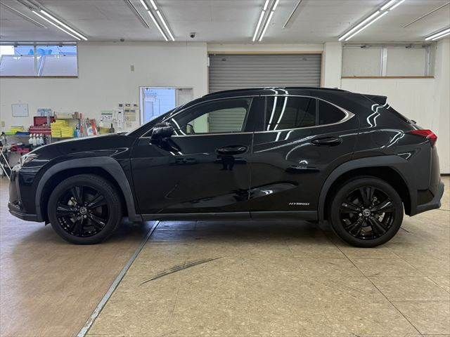 LEXUS UX250h