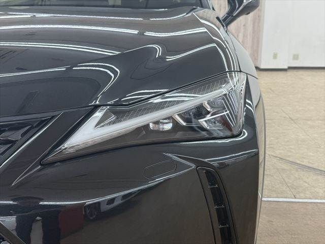 LEXUS UX250h