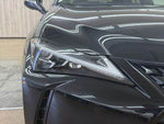 LEXUS UX250h