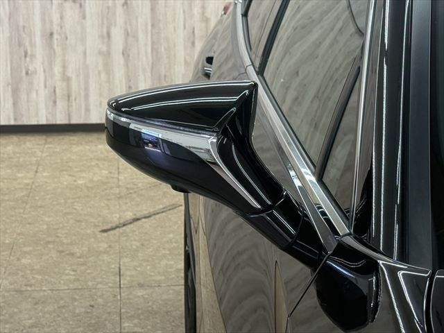 LEXUS UX250h