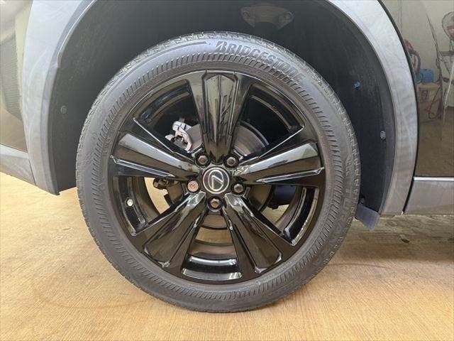 LEXUS UX250h