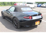 ROADSTER