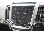 CROWN sedan hybrid 4WD