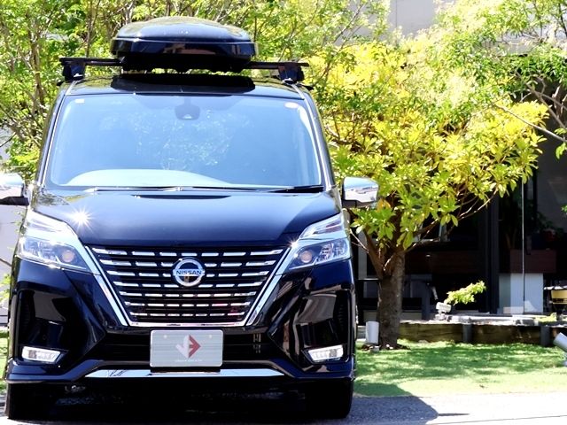 SERENA  S-HYBRID
