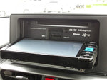 RAIZE HYBRID