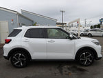 RAIZE HYBRID