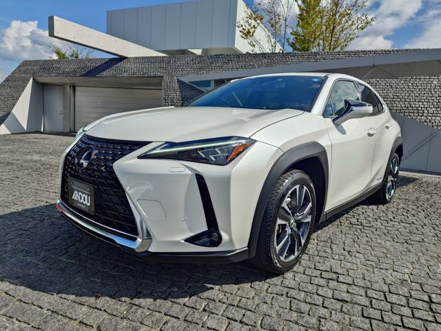 LEXUS UX250h