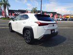 LEXUS UX250h