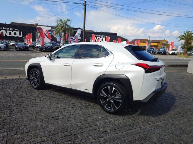 LEXUS UX250h