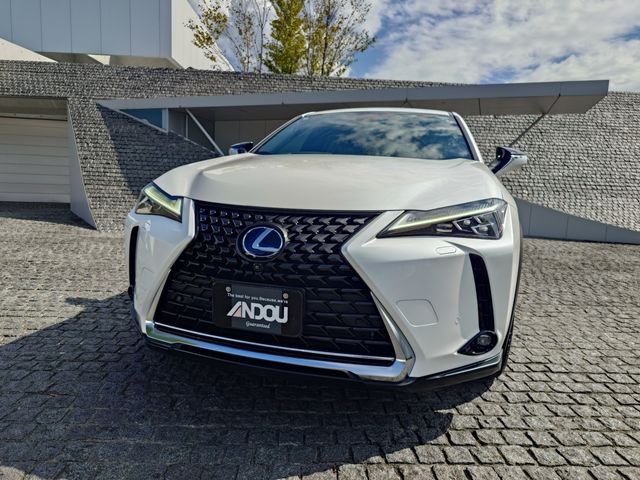LEXUS UX250h