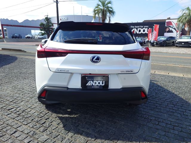 LEXUS UX250h