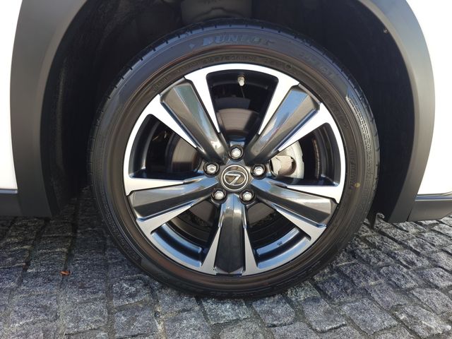 LEXUS UX250h