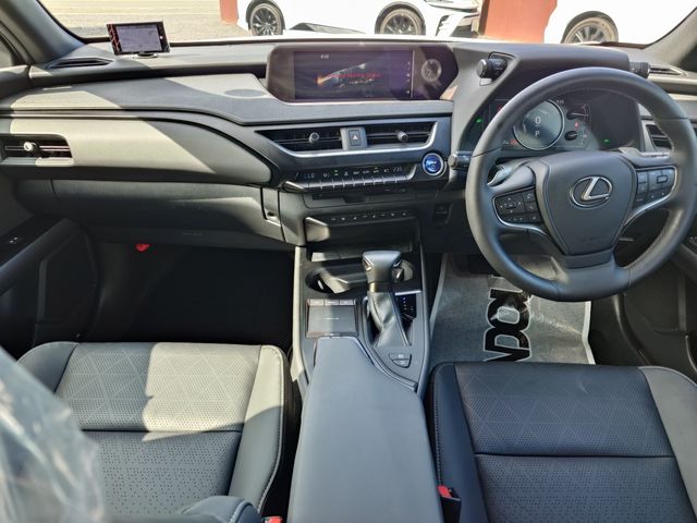 LEXUS UX250h