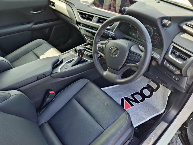 LEXUS UX250h