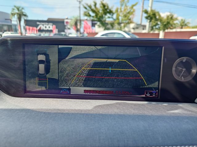 LEXUS UX250h