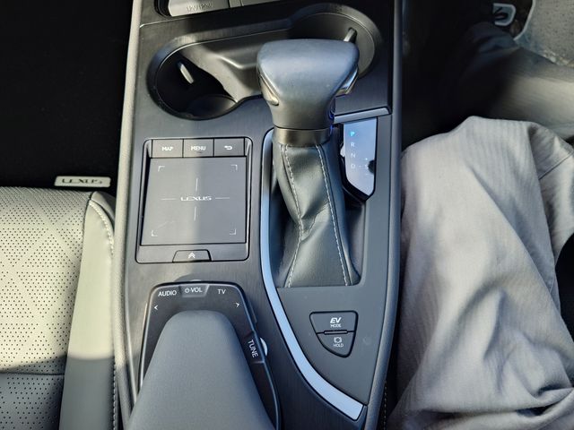 LEXUS UX250h
