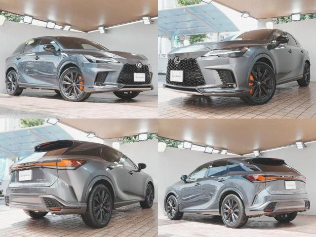 LEXUS RX500h