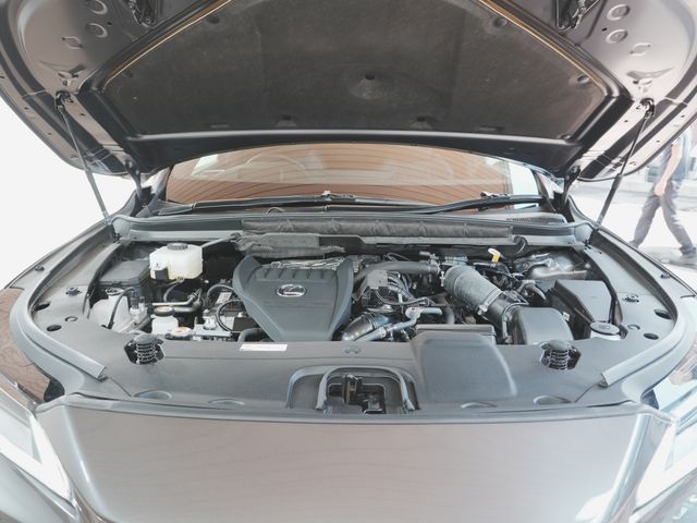 LEXUS RX500h