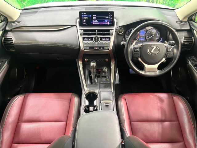LEXUS NX300