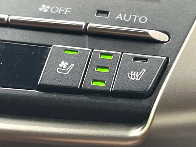 LEXUS NX300