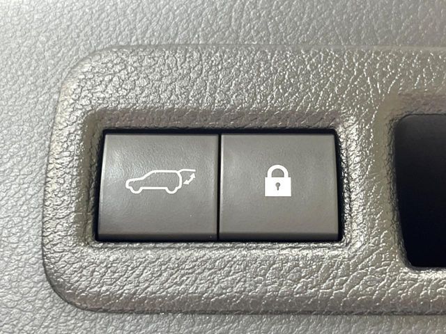 LEXUS NX300