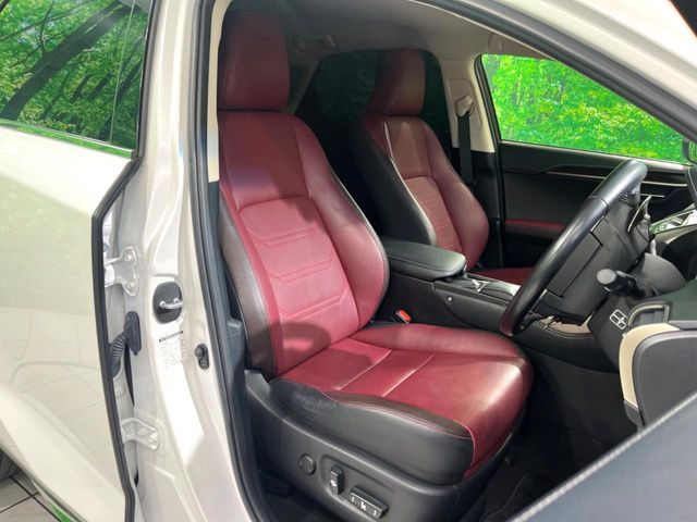LEXUS NX300