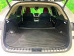 LEXUS NX300