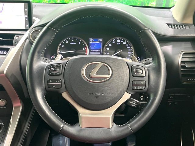 LEXUS NX300