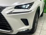 LEXUS NX300