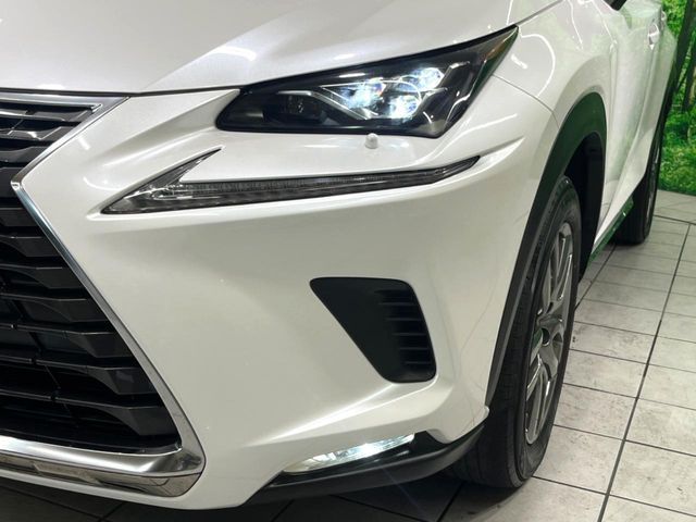 LEXUS NX300