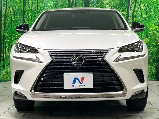 LEXUS NX300