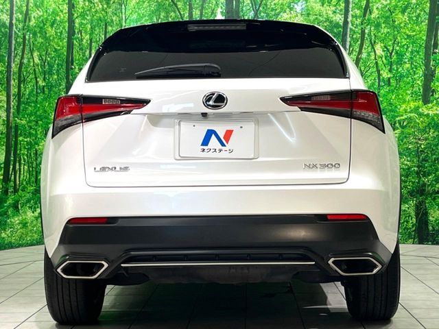 LEXUS NX300