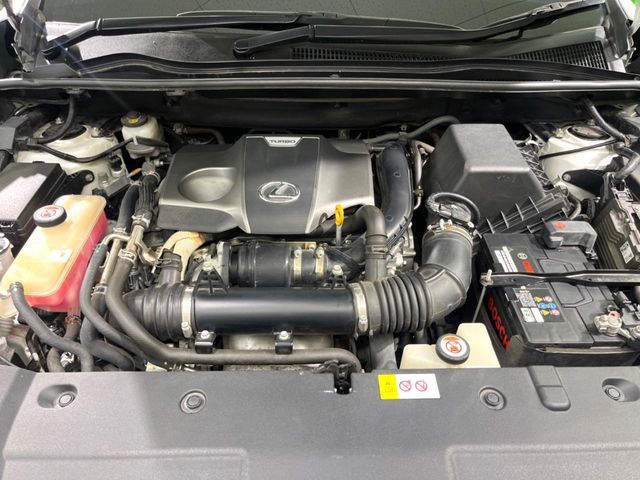 LEXUS NX300