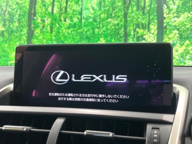 LEXUS NX300h