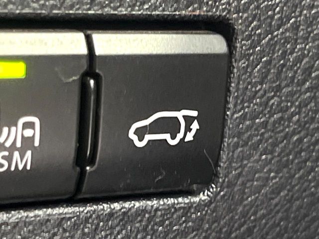 LEXUS NX300h