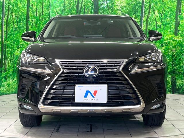 LEXUS NX300h