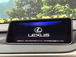 LEXUS RX300