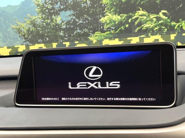 LEXUS RX300