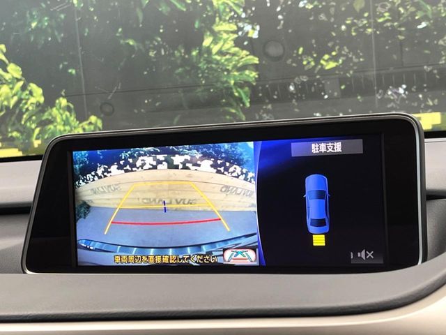 LEXUS RX300