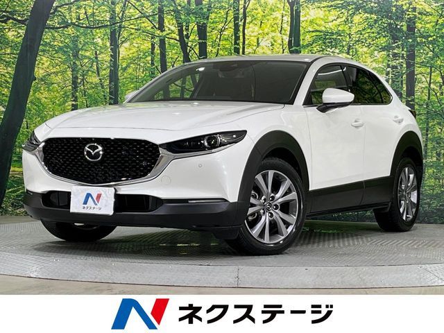 CX-30